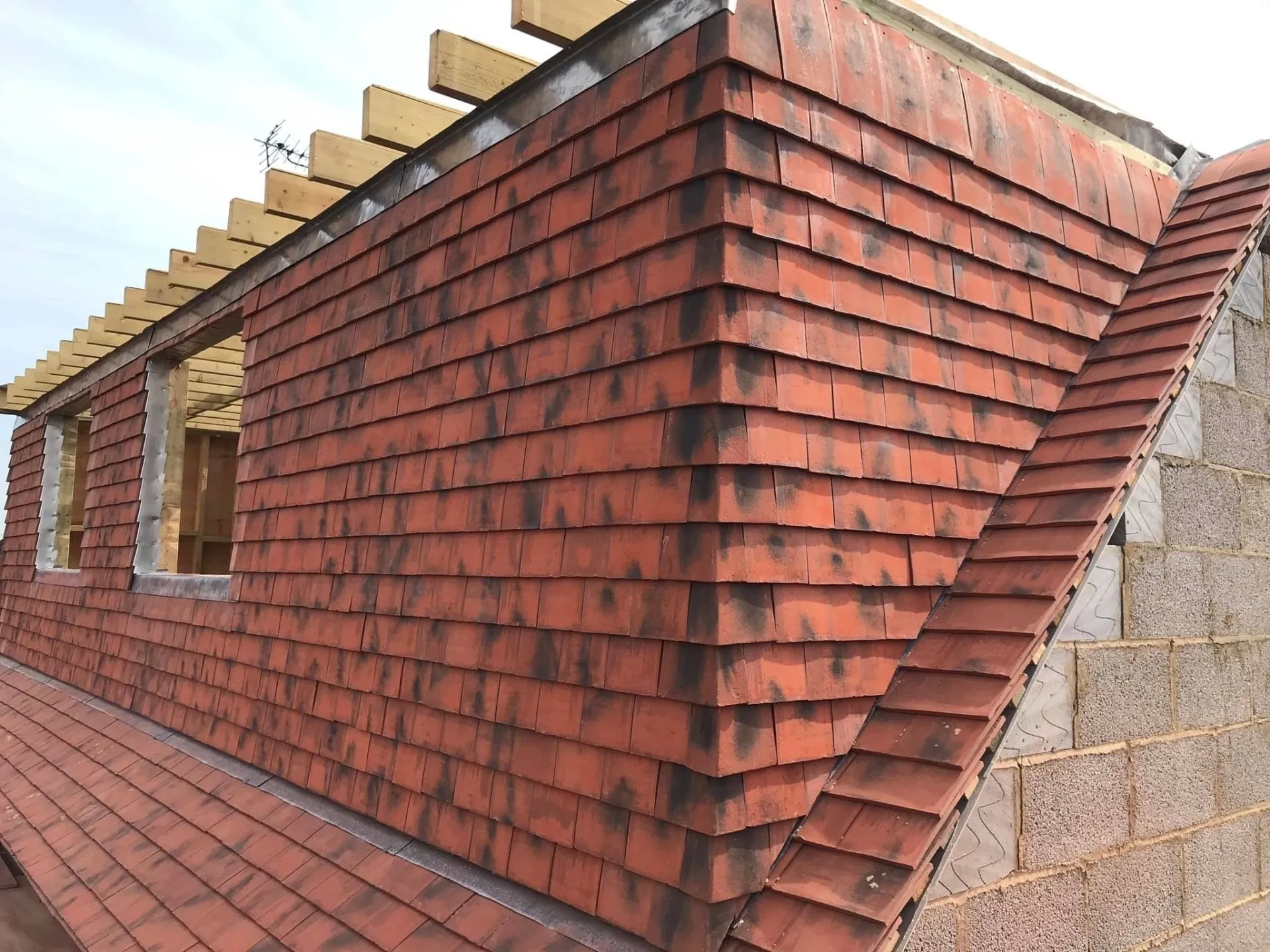 IMG 0408 f823e01c 1920w 1